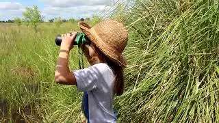 Aves acu&aacute;ticas - Documental para ni&ntilde;os