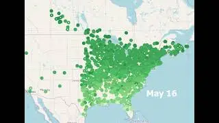 The 2025 Ruby-throated Hummingbird migration in 30 seconds