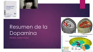 RESUMEN DE DOPAMINA (Esquizofrenia, Antipsicóticos Típicos, vías dopaminérgicas y adiciones)