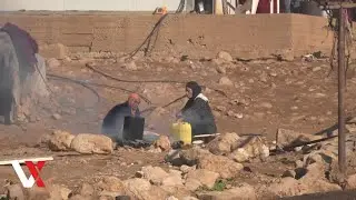 Peace Activists, Palestinians Protest Settler Violence In West Bank | VERTEX