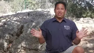Mt Carmelo - Culto a Baal y Paralelos con Nascimiento de Jesus