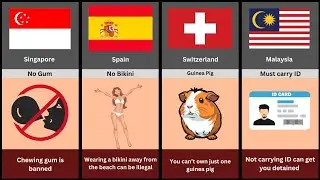 Mind-Blowing Laws From Different Countries 🤯