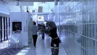 The Best Mascot Harlem Shake With Milo the CU Denver Lynx