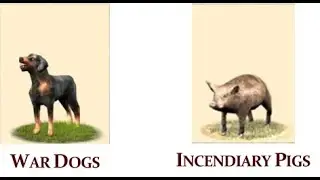 Total War: Rome Remastered 1vs1: Incendiary Pigs vs War Dogs