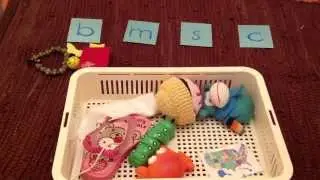 Sorting Beginning Sounds with Sandpaper Letters