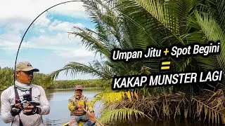 Semakin Sore Semakin BESAR || Mancing Ikan BLACK BASS dan MANGROVE JACK Muara Sungai