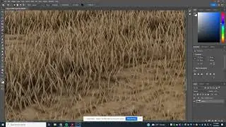 Patch Tool