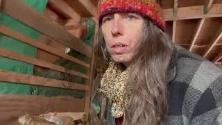 Talk&rsquo;n trees with TreehuggerZina @ Home - at - last 23678
