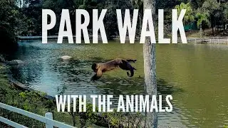 Park Walk with the Animals - Walking Tour 4K - Parque Horto Florestal (S&atilde;o Paulo, Brazil)