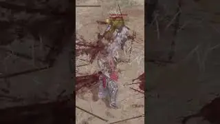 Geneva convention violations in duels #eldenring #colosseum #eldenringpvp #eldenringgameplay