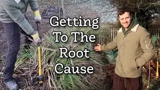 Getting to the Root of My Allotment Problems
