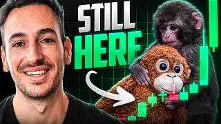 The Next BIG Memecoin Narrative is Here [And You&rsquo;re Early]