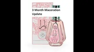 3 Month Maceration Update on Yara 50ml Perfume by Ard Al Zaafaran (Lattafa) | Fragrances #262