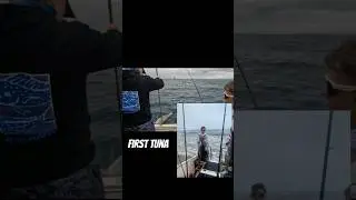 Yellowfin tuna caught deepsea #adventure #fishing #fish #boat #sea #gopro #goviral #shorts #funny