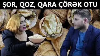 İmmunitet artiran qidalar