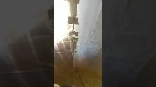 Temporary Reptile House Insulation
