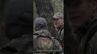 The deer dogs are excited