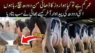 Dairy Farming Business in Pakistan | Dairy Farm Success Story 2025