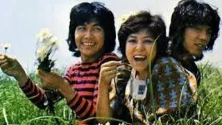 太陽がくれた季節
