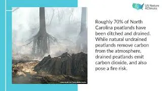 North Carolina Pocosin Peatland Restoration Infographic