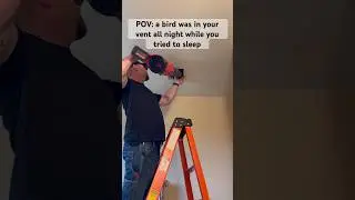 How to remove a bird from your ductwork with a leaf blower #diy #doityourself #hgtv