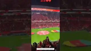 علم المغرب وعلم الكاميرون يتوسطان الملعب في منظر خلاب Shorts-MOROCCO &CAMEROON  FLAGS MEET AT ......