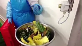 HYTT pine apple waste transport