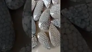 skin snake stone