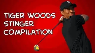 Tiger Woods Stinger Compilation