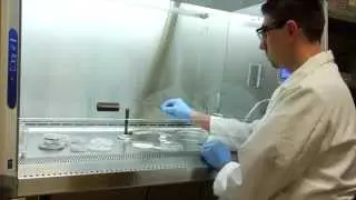 Chemistry and Biochemistry Graduate Program Overview