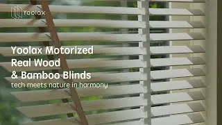 Product Show | Yoolax Motorized Real Wood Blinds
