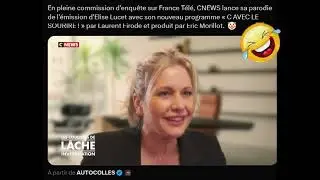 Parodie 'Elise Lucet'