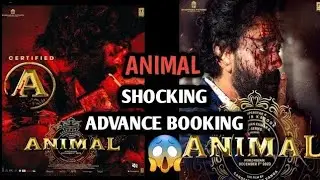 Animal Day 8 Advance Booking Report | Animal Day 7 Total Box Office Collection India | Ranbir Kapoor