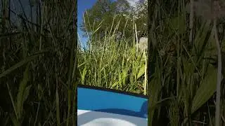 DJI AVATA 2 - 1st Flight ! #djiavata2