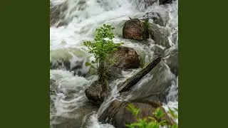 Against the Flow
