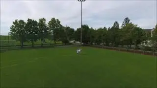 DJI Phantom 4 Tap Flight Test