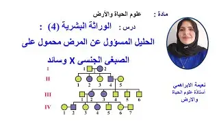 دروس2 باك علوم الحياة والأرض: الوراثة البشرية (4) :المرض جنسي وسائد ـ الإجابة على أسئلة هذا الدرس