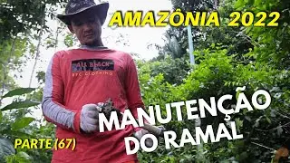 DE VOLTA &Agrave; COMUNIDADE DA MANGUEIRA (ЧАСТЬ 67) MANUTEN&Ccedil;AO DA AMAZONIA