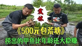 花500塊包壹口荒塘，撈出的甲魚比年齡還大穩賺#小飛哥#三農 #新農人計劃2026#鄉村守護人 #包塘