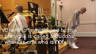 Buddhism: Observing Your Mind
