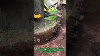 Tree Transplant Machine Magic! Root Ball Saving Secret