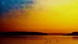 Mellow Morning 🌅 528 Hz Ambient Meditation Music 🍃 Relaxation, Meditation, DNA Repair & Healing