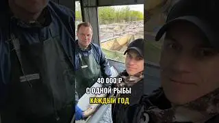 Как заработать на рыбе в 2024 году! Садки-иваносетр.рф #иваносетр
