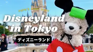 ディズニーで食べまくったよ！初めてのミッキー / My first visit of Disneyland