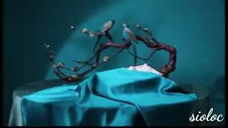 Mulberry Silk Pillowcase for Hair and Skin-Sioloc