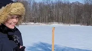 Полный процесс: пруд Уолтон Вудс, Амхерст, пленэрная иллюзия.