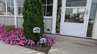 Escape from an Amish Restroom, Boyd & Wurthmann Restaurant, Berlin, Ohio, 28 August 2025, NGH10467