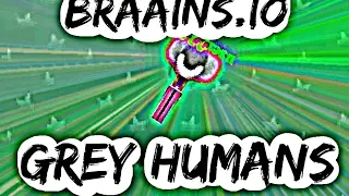 Grey humans in braains.io | Braains.io Update