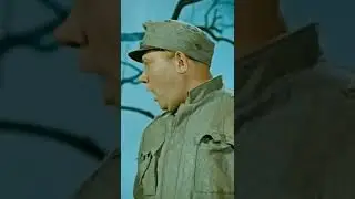 Бравый солдат Швейк. Как никогда актуально.. #shorts