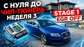 С нуля до чип-тюнера: зарабатываю на AUDI (Неделя 3)